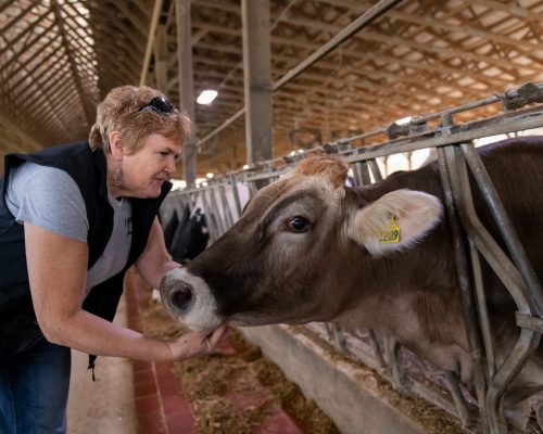 WayHar Lesher Farm-37 (2)